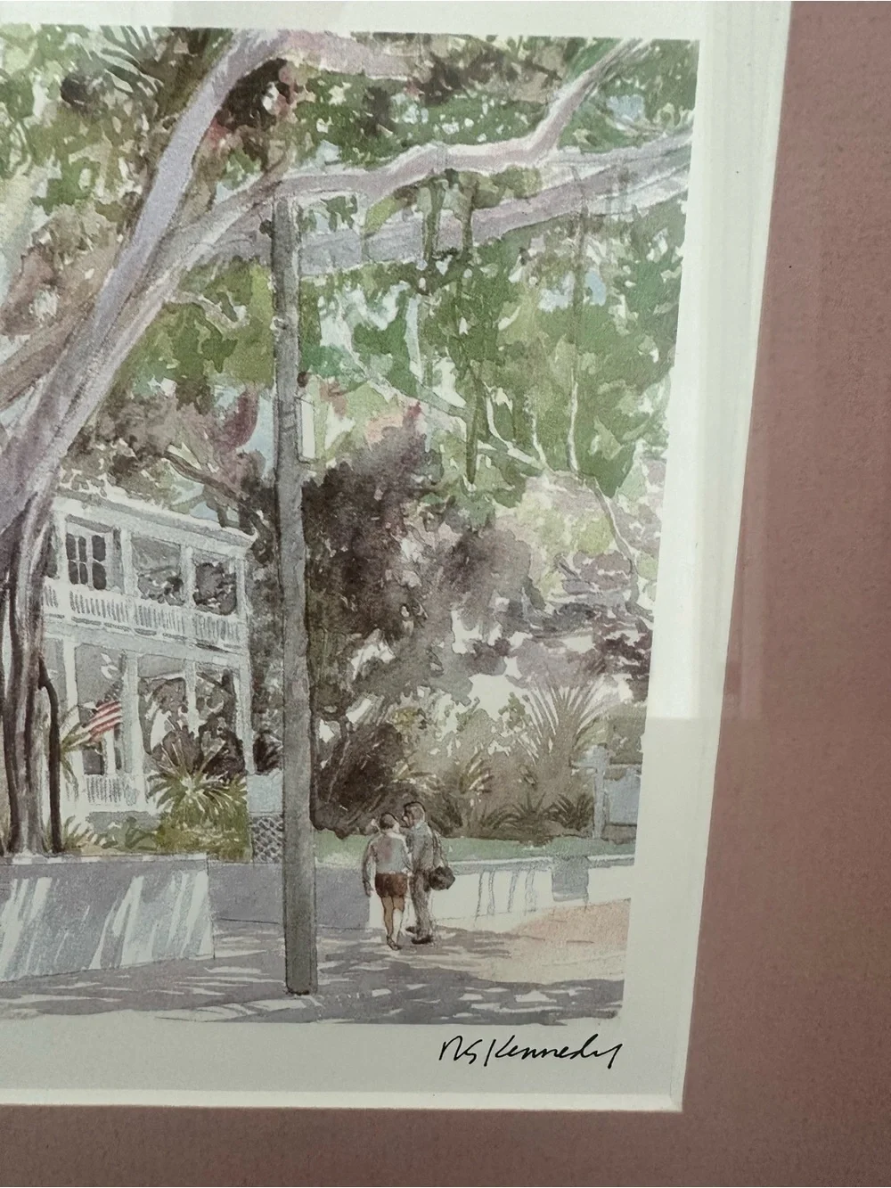 Pink Framed Mat Botanical Wall Art Robert E. Kennedy Iconic Banyan Tree Key West